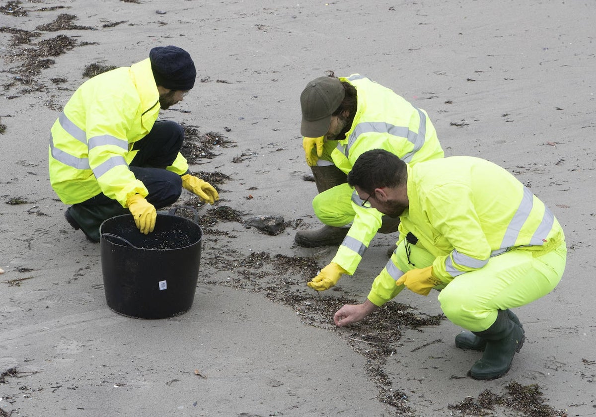 Operativo de recogida de pélets en Nigrán (Pontevedra)
