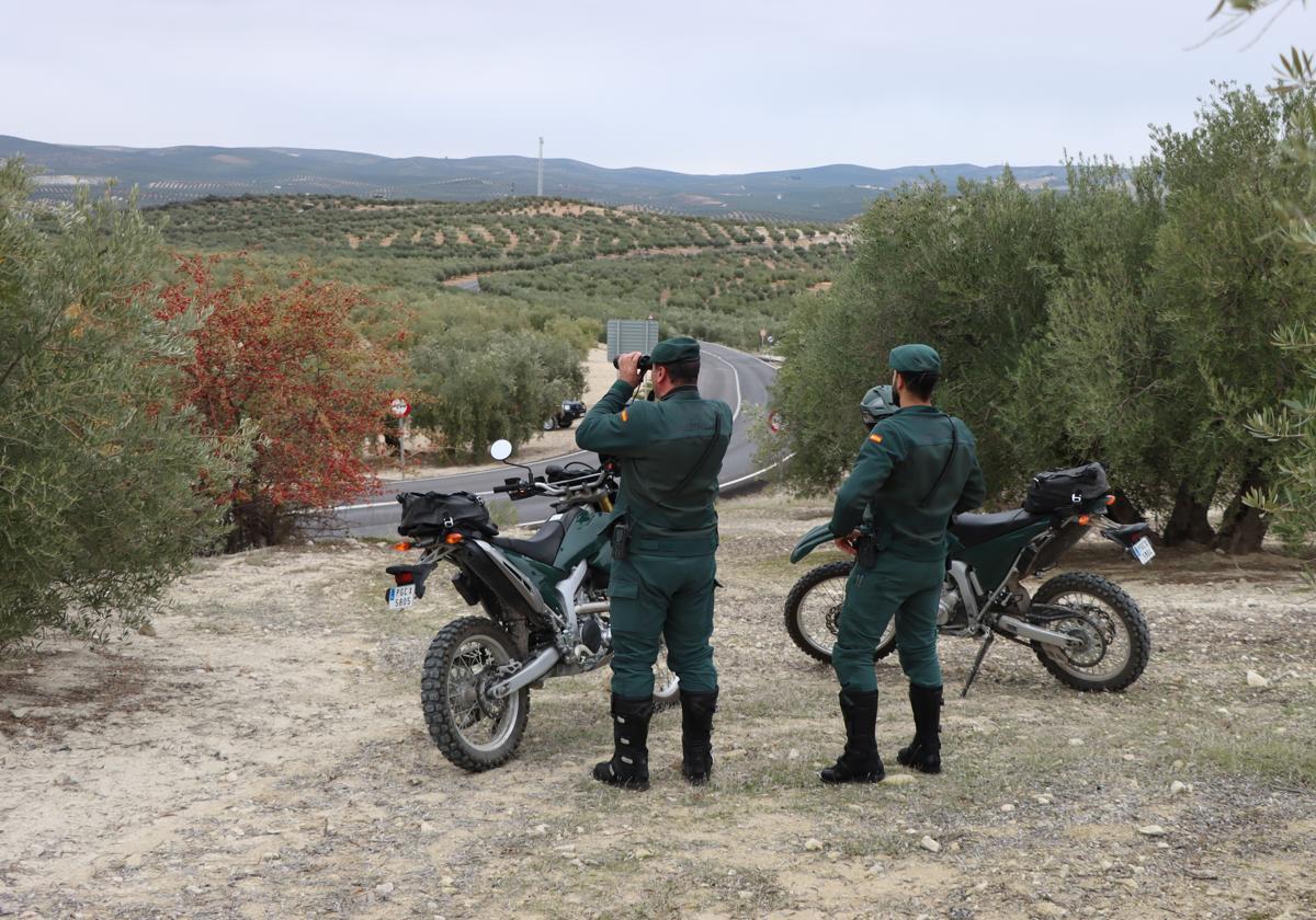 Imagen de una patrulla del Seprona de la Guardia Civil