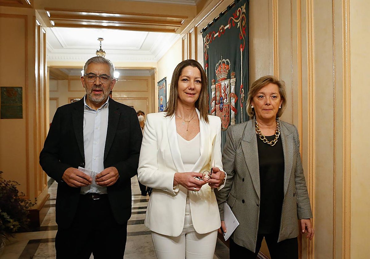 Méndez, a su llegada a un pleno para dimitir de su cargo como alcaldesa