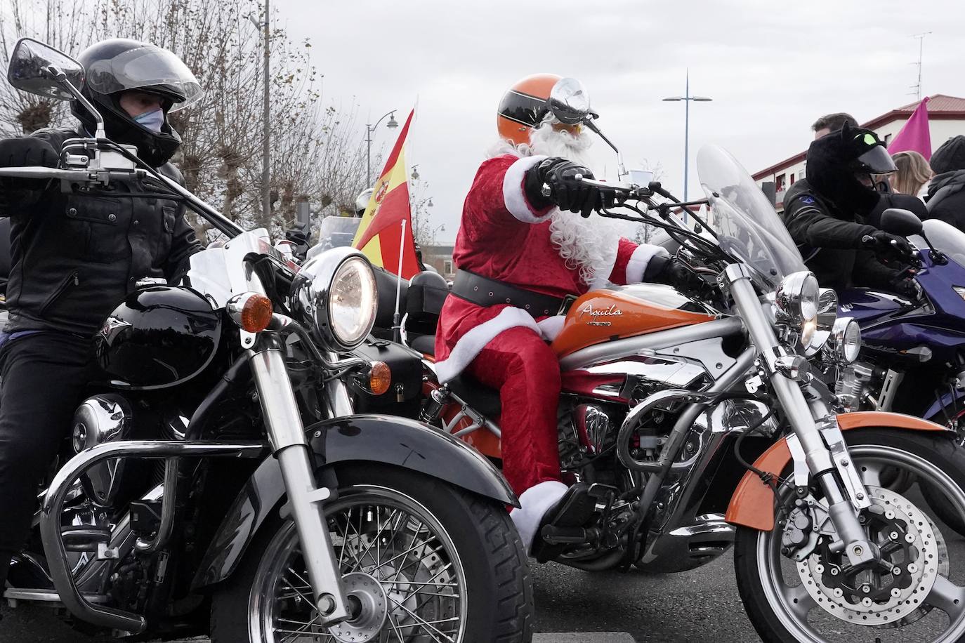 Pingüinos disfrazados en desfile de banderas 