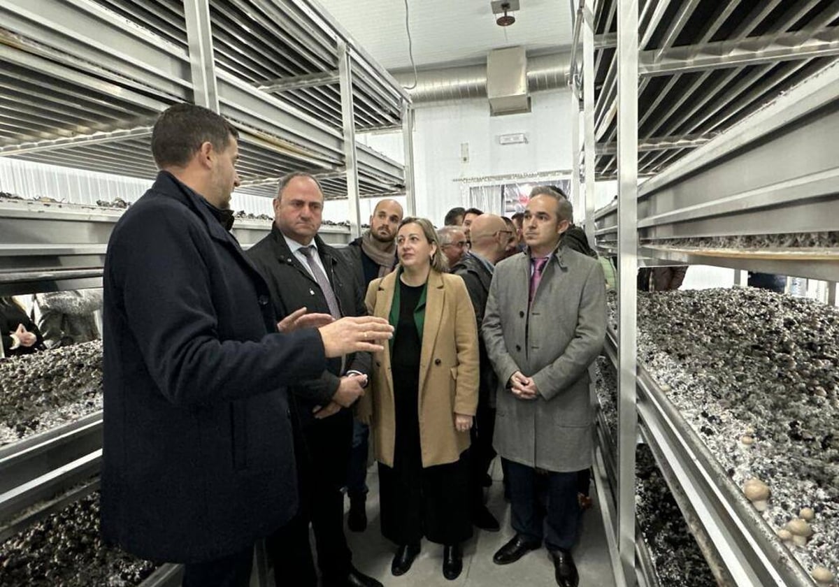 El consejero de Agricultura durante la visita a la empresa de Champiñones La Joya, en Cuenca