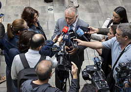 El ministro Torres tilda de «falso» que Cataluña vaya a «dar la espalda» a Canarias con  menores migrantes