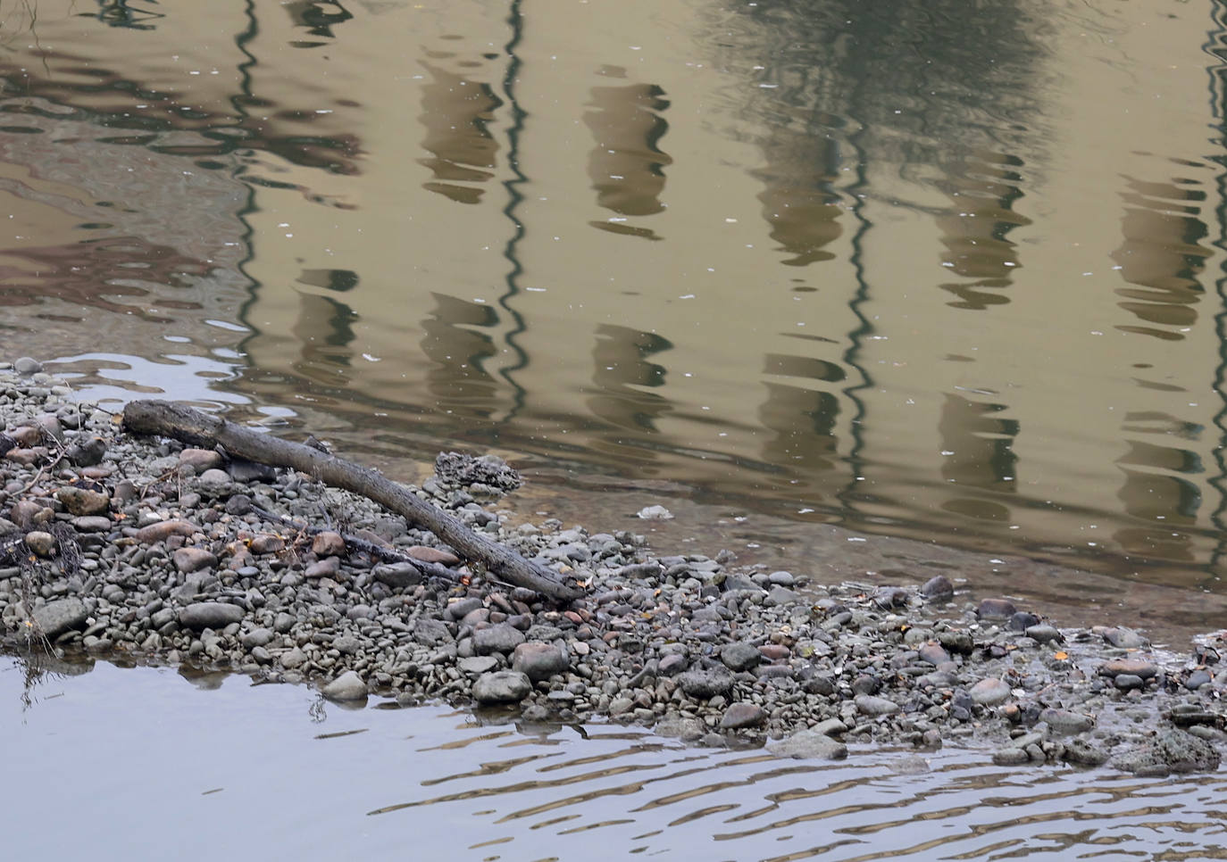 Fotos: la sequía deja bajo mínimos el cauce del río Guadalquivir en Córdoba