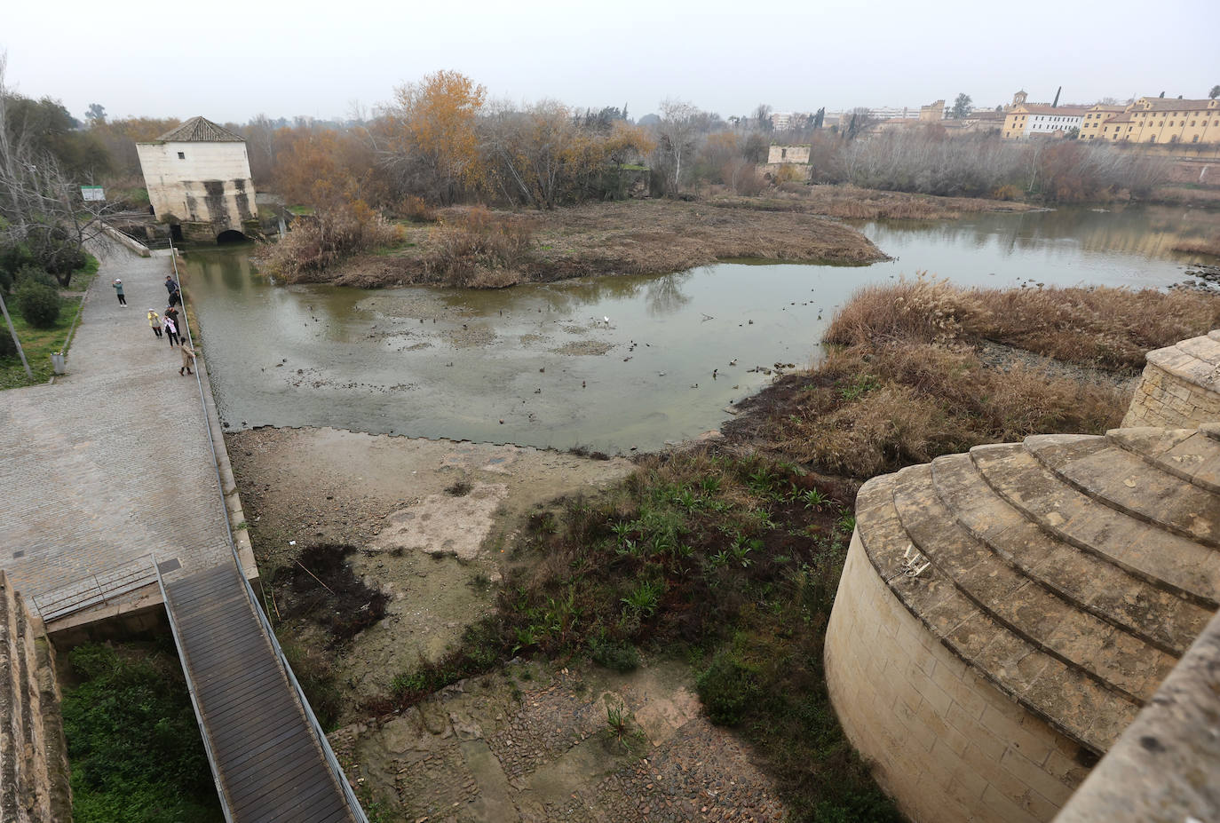 Fotos: la sequía deja bajo mínimos el cauce del río Guadalquivir en Córdoba