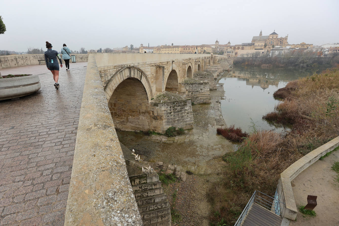 Fotos: la sequía deja bajo mínimos el cauce del río Guadalquivir en Córdoba