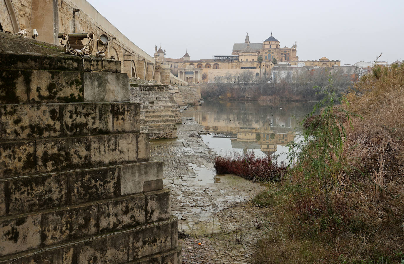 Fotos: la sequía deja bajo mínimos el cauce del río Guadalquivir en Córdoba
