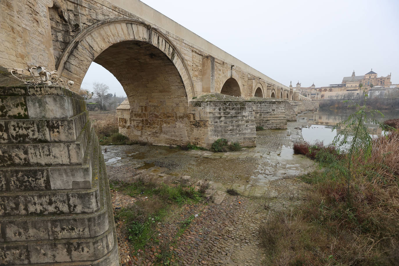 Fotos: la sequía deja bajo mínimos el cauce del río Guadalquivir en Córdoba