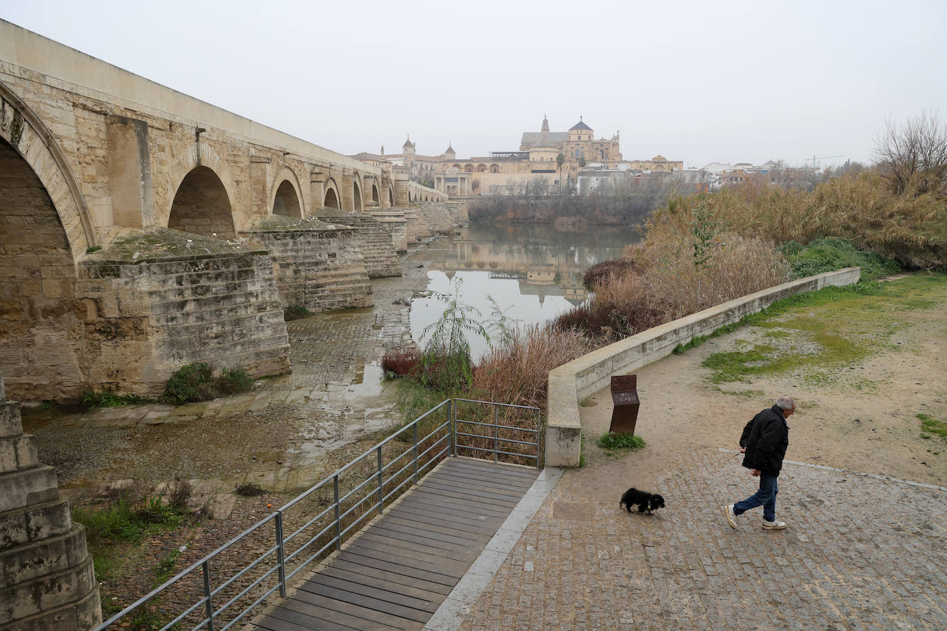 Fotos: la sequía deja bajo mínimos el cauce del río Guadalquivir en Córdoba