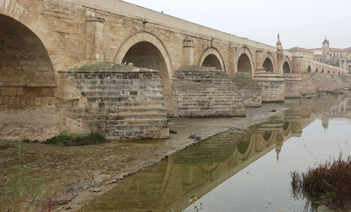 Fotos: la sequía deja bajo mínimos el cauce del río Guadalquivir en Córdoba