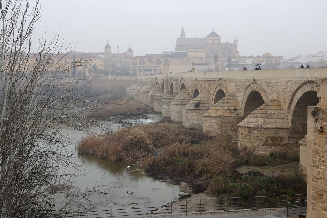 Fotos: la sequía deja bajo mínimos el cauce del río Guadalquivir en Córdoba
