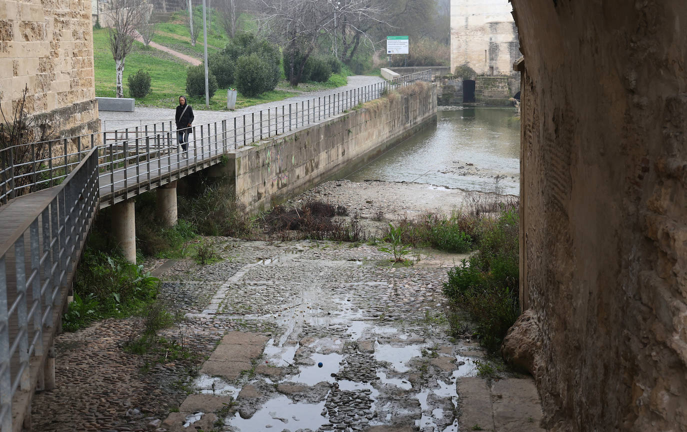 Fotos: la sequía deja bajo mínimos el cauce del río Guadalquivir en Córdoba