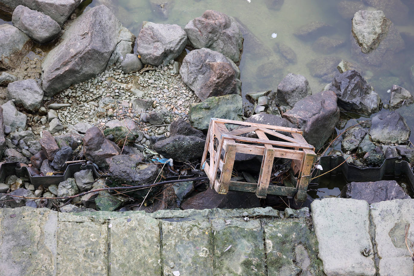 Fotos: la sequía deja bajo mínimos el cauce del río Guadalquivir en Córdoba