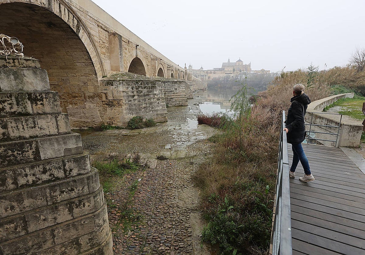 Fotos: la sequía deja bajo mínimos el cauce del río Guadalquivir en Córdoba