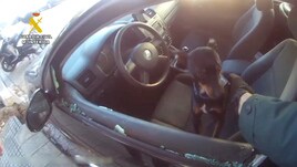 El agónico rescate de un bebé y un perro encerrados en un coche en Valencia