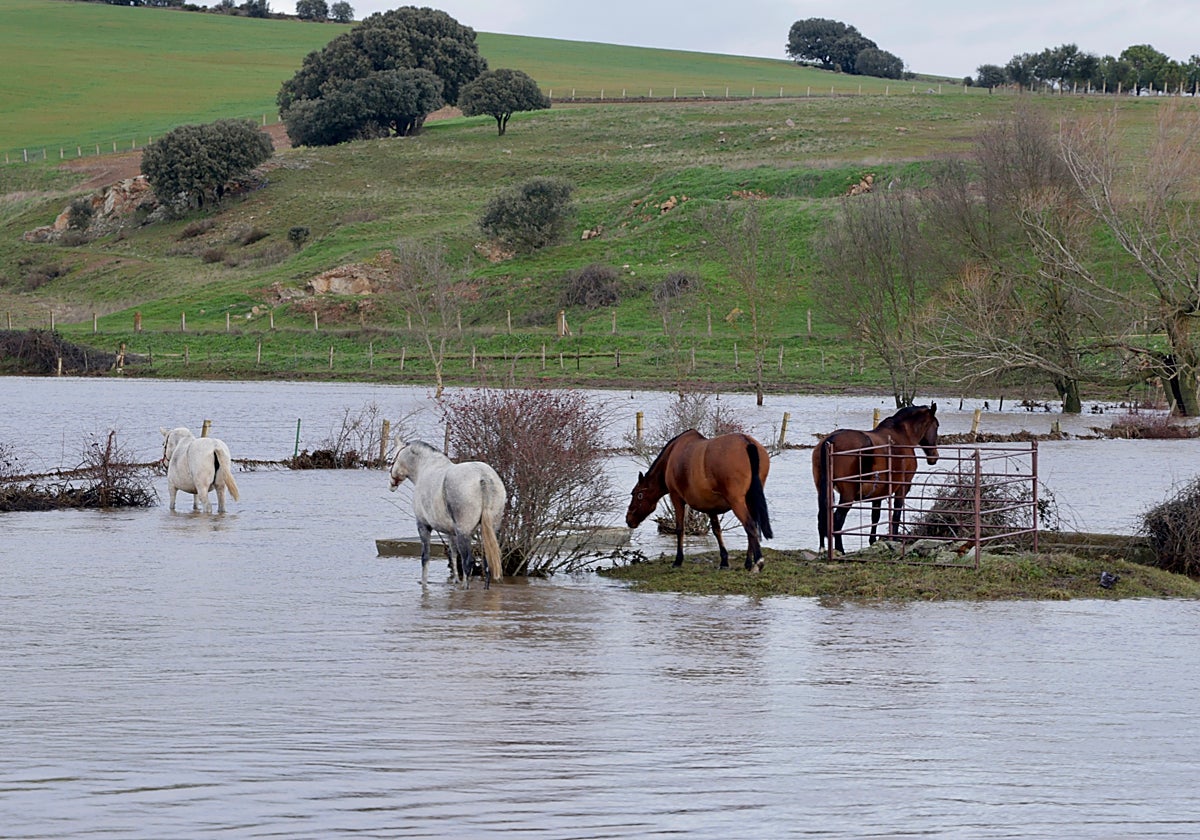 Inundaciones en la provincia de Salamanca