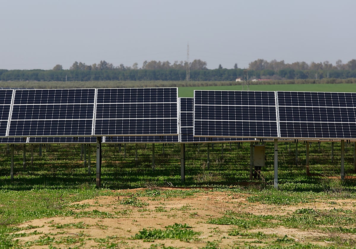Paneles solares en una planta situada en un municipio sevillano