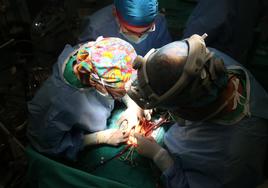 El Hospital Reina Sofía bate su récord de trasplantes con 278 el pasado año 2023