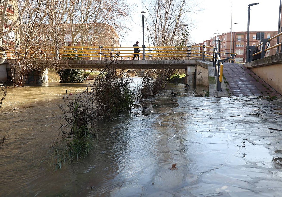 Crecida del río Esgueva, ayer a su paso por Valladolid