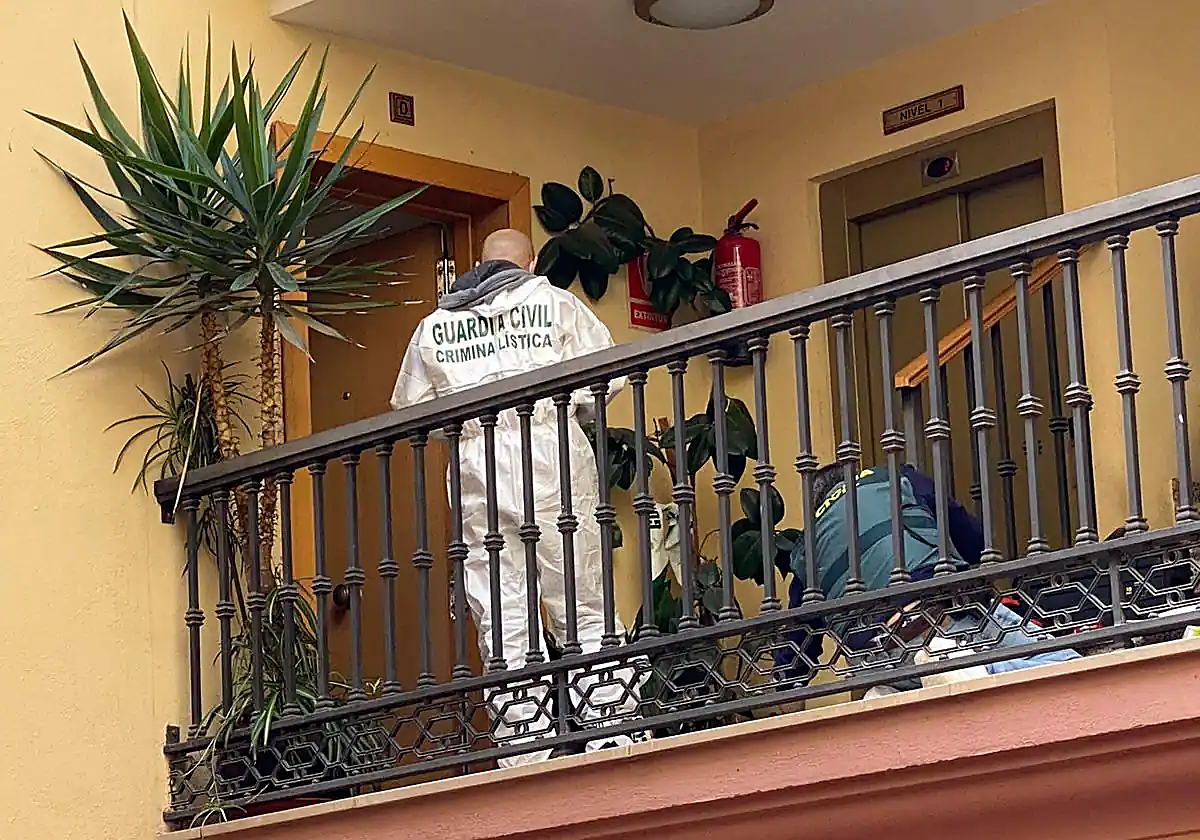 Agentes de la Guardia Civil, en el domicilio de Maracena donde han sucedido los hechos