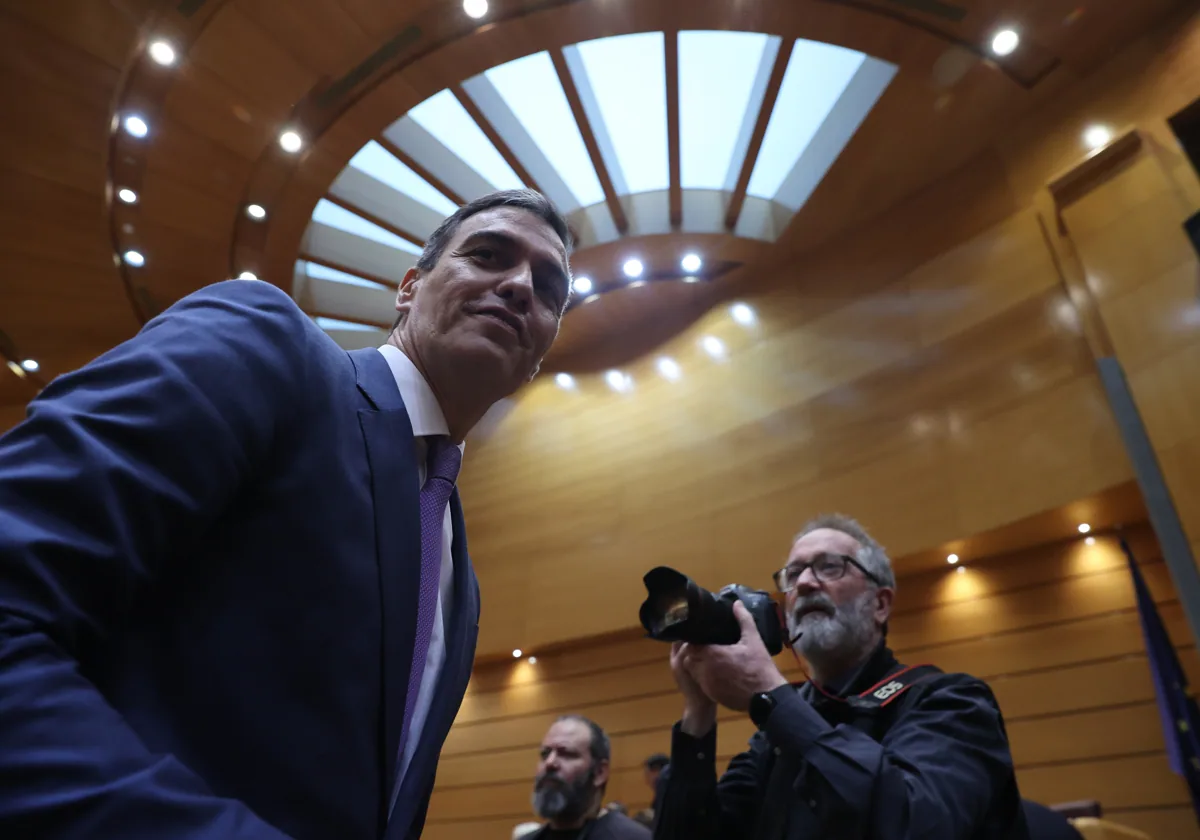 Pedro Sánchez, este jueves en el Senado