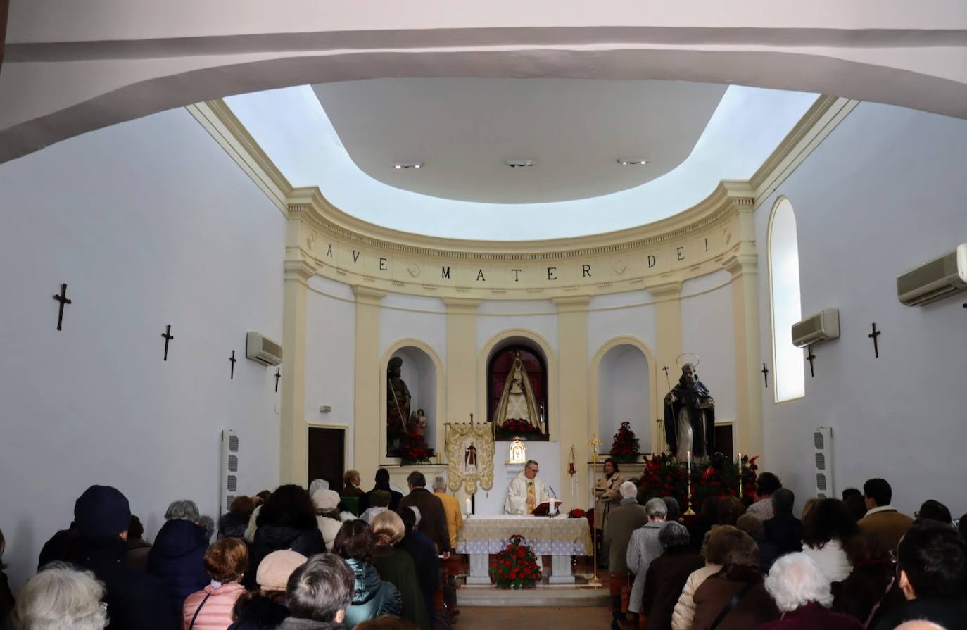Los toledanos llevan a bendecir a sus animales a la ermita de San Antón