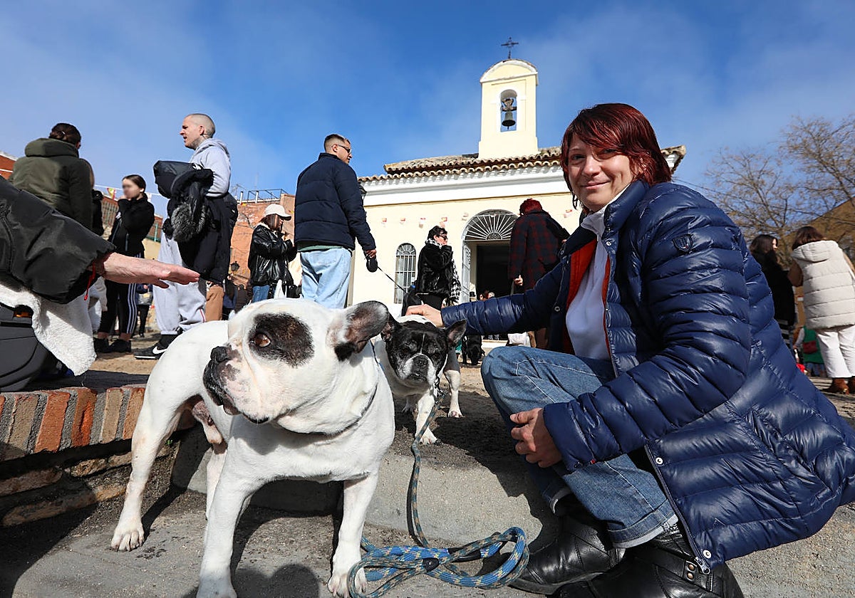 La tradicional bendicón de los animales se celebra en la toledana ermita de San Antón