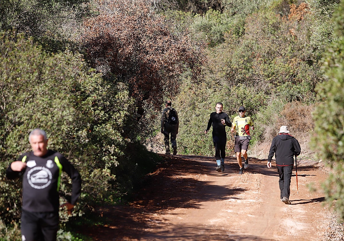 Tramo del cinturón verde de la Cuesta del Reventón