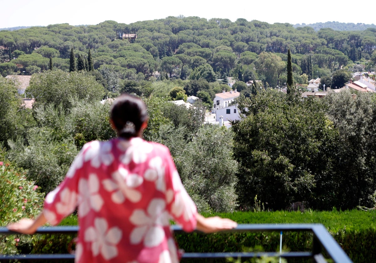 Una vecina contempla varias casas en plena zona de Sierra de Córdoba