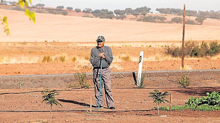 Agricultor en una huerta del Valle del Guadiato de Córdoba