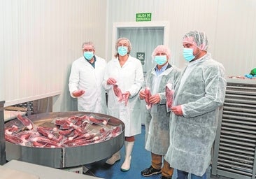 Merpacífico: Pulpo de tierra adentro