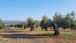 Asociaciones del Campo de Montiel firman un manifiesto contra el proyecto de Quantum para buscar neodimio