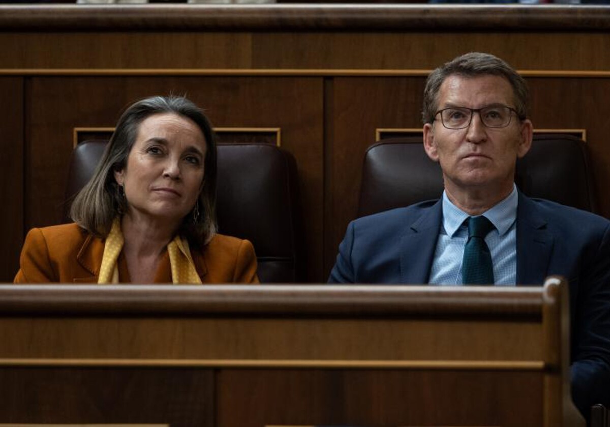 Alberto Núñez Feijóo y Cuca Gamarra durante la votación de la amnistía este martes en el Congreso