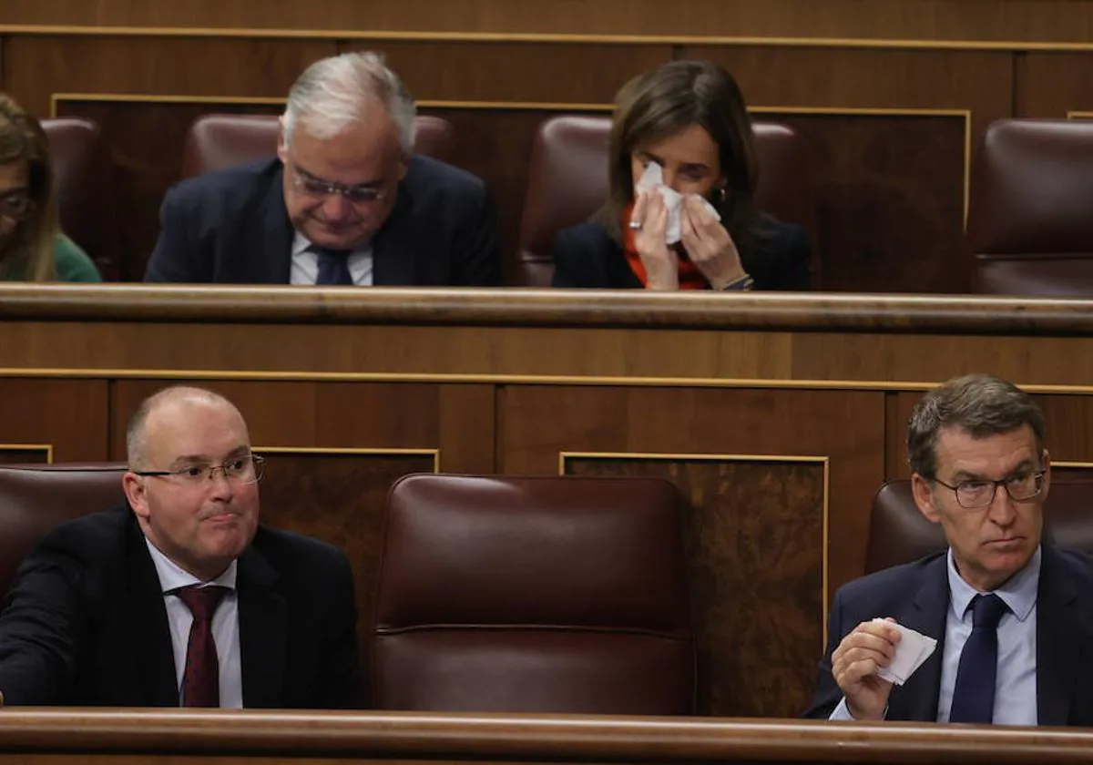 Miguel Tellado, portavoz del PP, y Alberto Núñez Feijóo, presidente del partido, en el Congreso