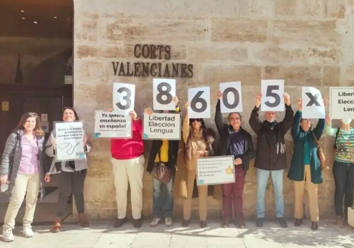 Miembros de Hablamos Español presentan las firmas de la Iniciativa Legislativa Popular (ILP) en las Cortes Valencianas.