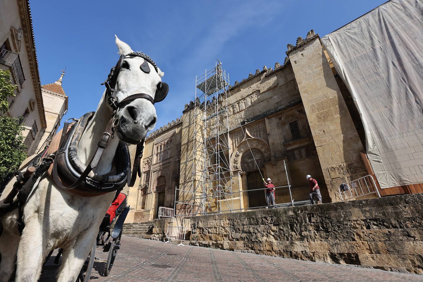 Fotos: el inicio de la restauración de la maqsura de la Mezquita-Catedral de Córdoba