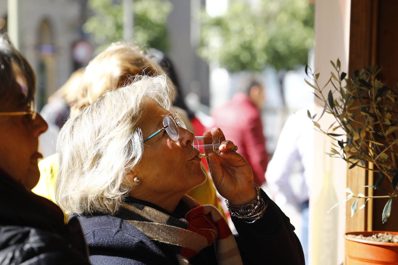 La inauguración del Festival del Aceite Virgen Extra de Córdoba, en imágenes