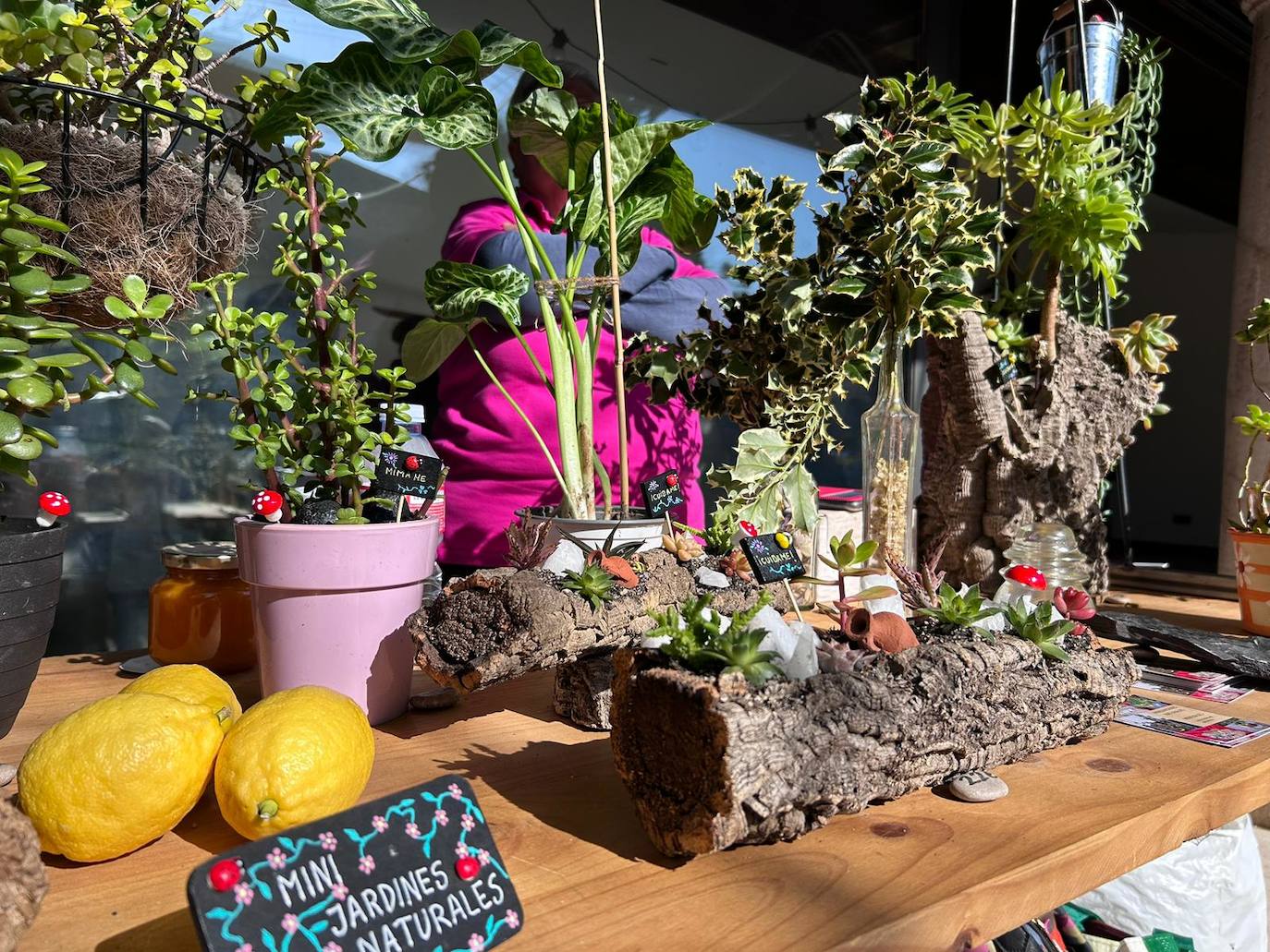 Vuelve el Mercado de las Flores al jardín de San Lucas, en imágenes