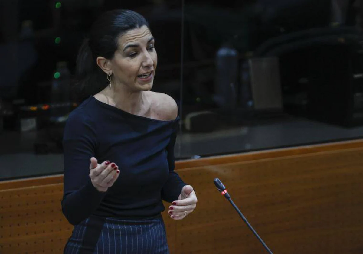 La portavoz de Vox, Rocío Monasterio, toma su palabra desde su escaño en la Asamblea de Madrid
