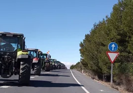 Escaso seguimiento en la tractorada de los agricultores en Almería