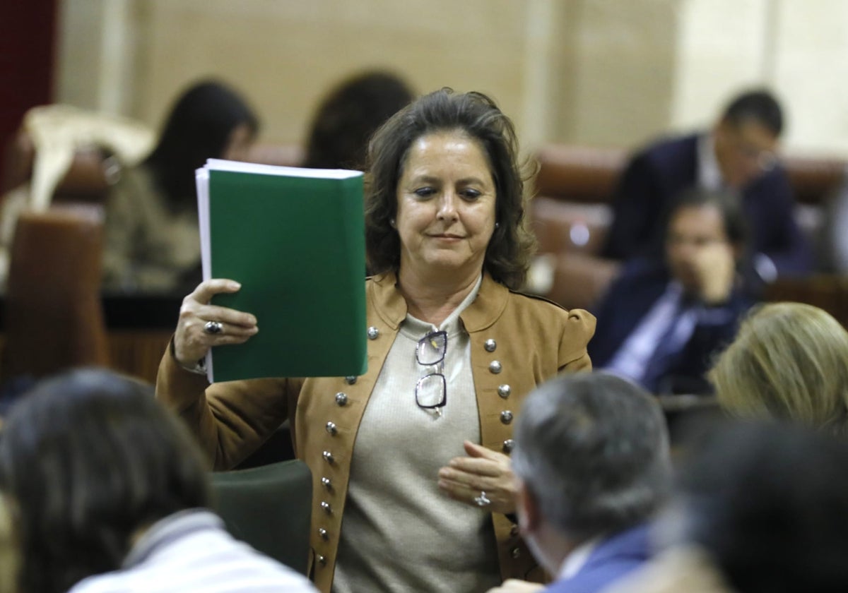 La consejera de Salud y Consumo, Catalina García