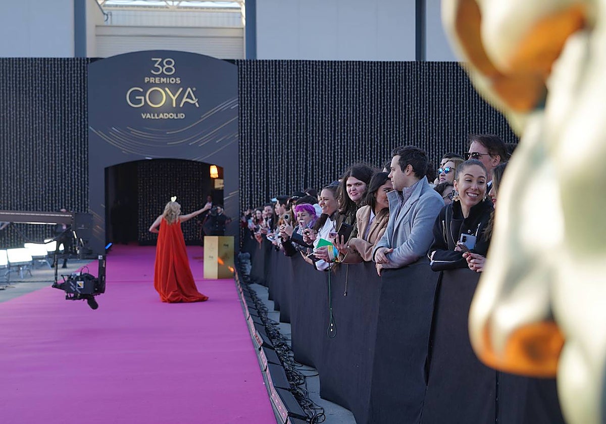 En la trastienda de los Goya en Valladolid