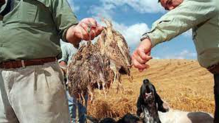 El sector cinegético regresa a índices anteriores a la pandemia en Castilla-La Mancha