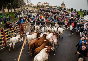 El encierro a caballo del Carnaval del Toro deja seis heridos, ninguno de ellos por asta