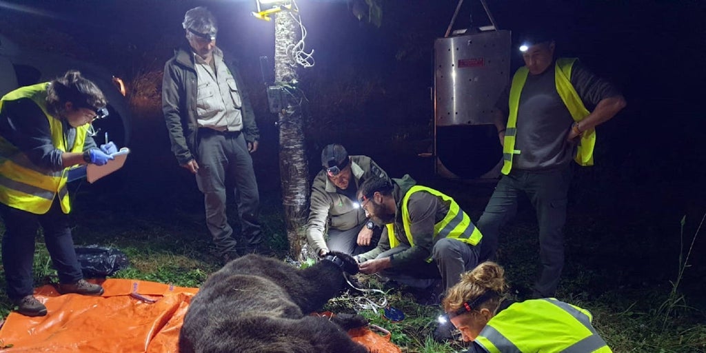 El programa para el manejo y conservación del ser humano, desarrollado por la Junta, es necesario a nivel global