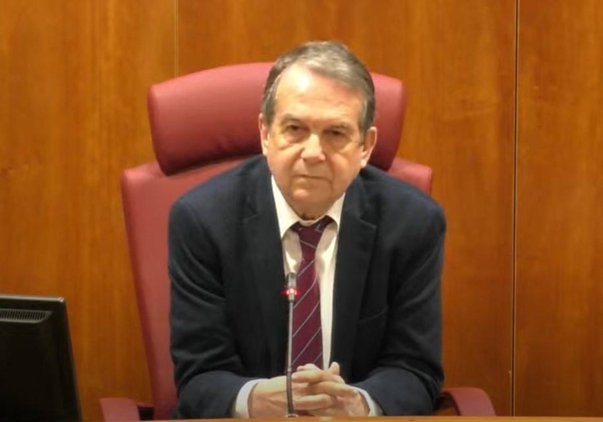 Caballero, en el pleno de este lunes