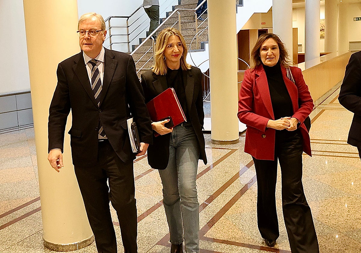 La consejera de Educación, Rocío Lucas, junto a los senadores de Castilla y León Antonio Silván y Alicia García