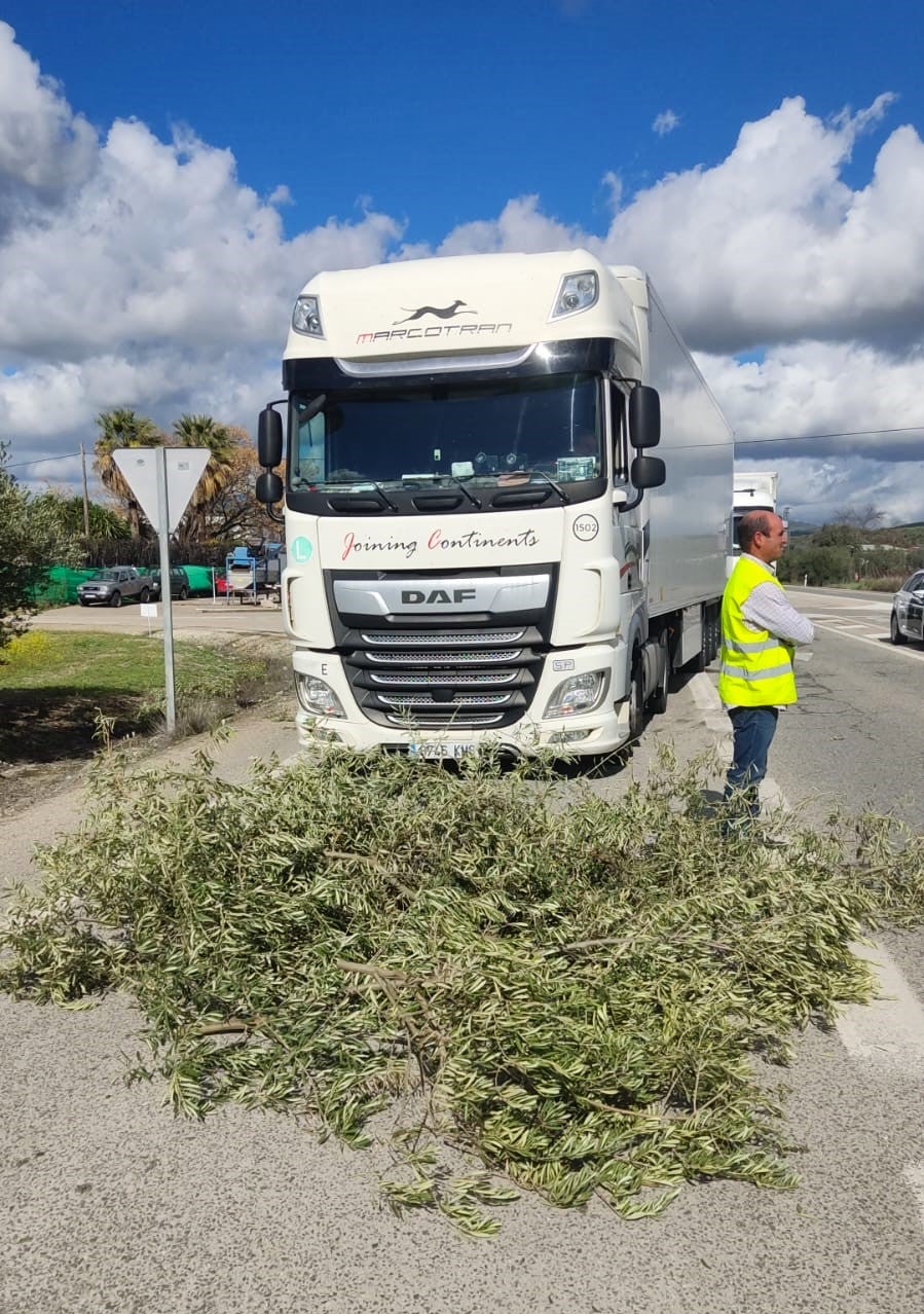 Fotos: una nueva tractorada de protesta corta carreteras en la Subbética