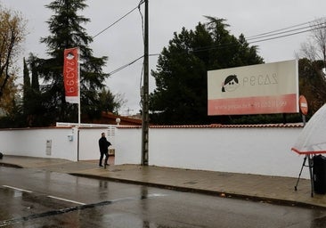 Pozuelo cierra la guardería de los famosos, investigada por maltrato, al carecer de licencia