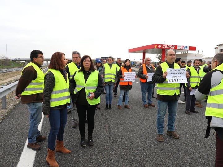 Las concentraciones de agricultores y ganaderos en Toledo, en imágenes