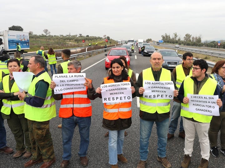 Las concentraciones de agricultores y ganaderos en Toledo, en imágenes